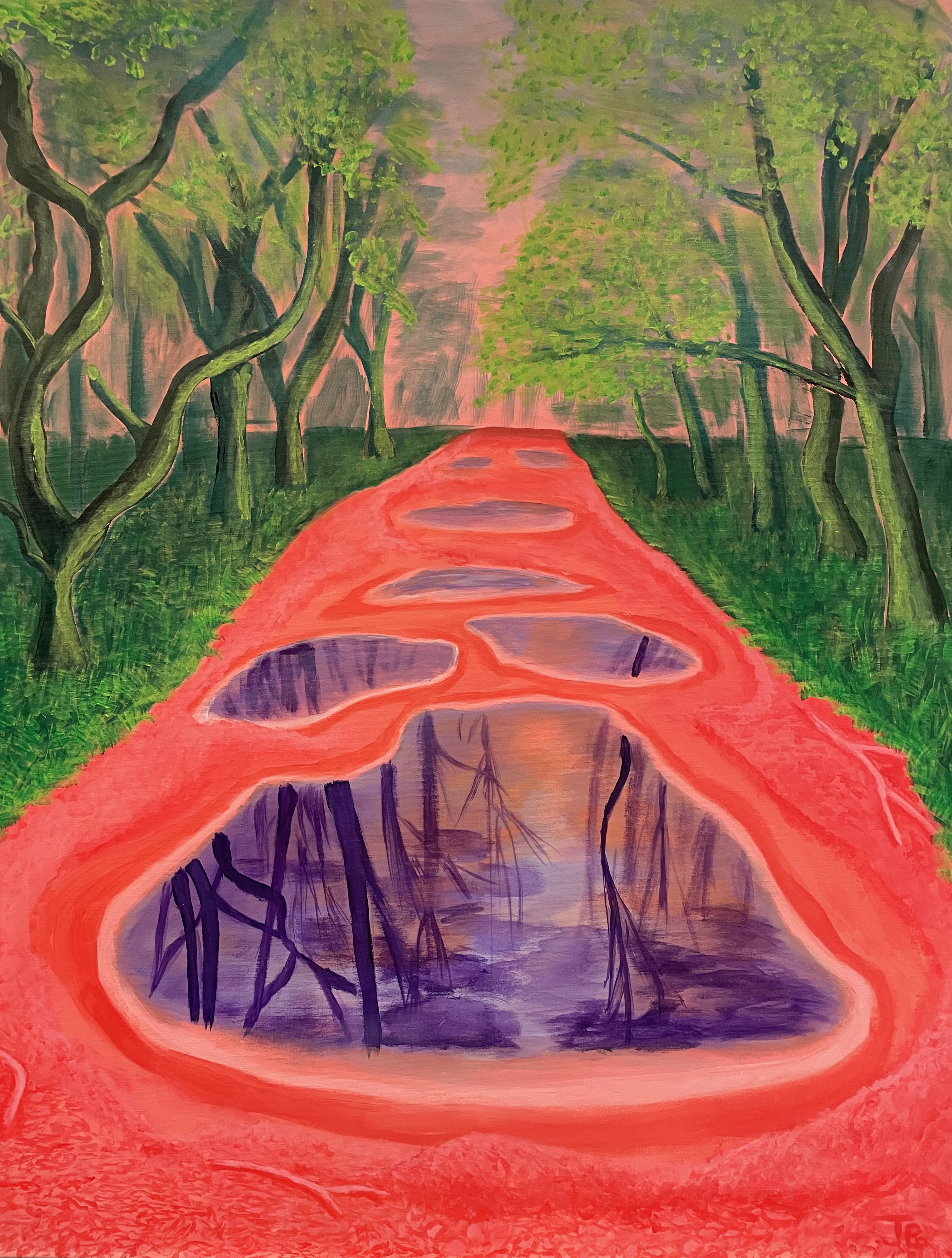 Reflections of trees in puddles along a pathway, with pinkish soil and green tree trunks.