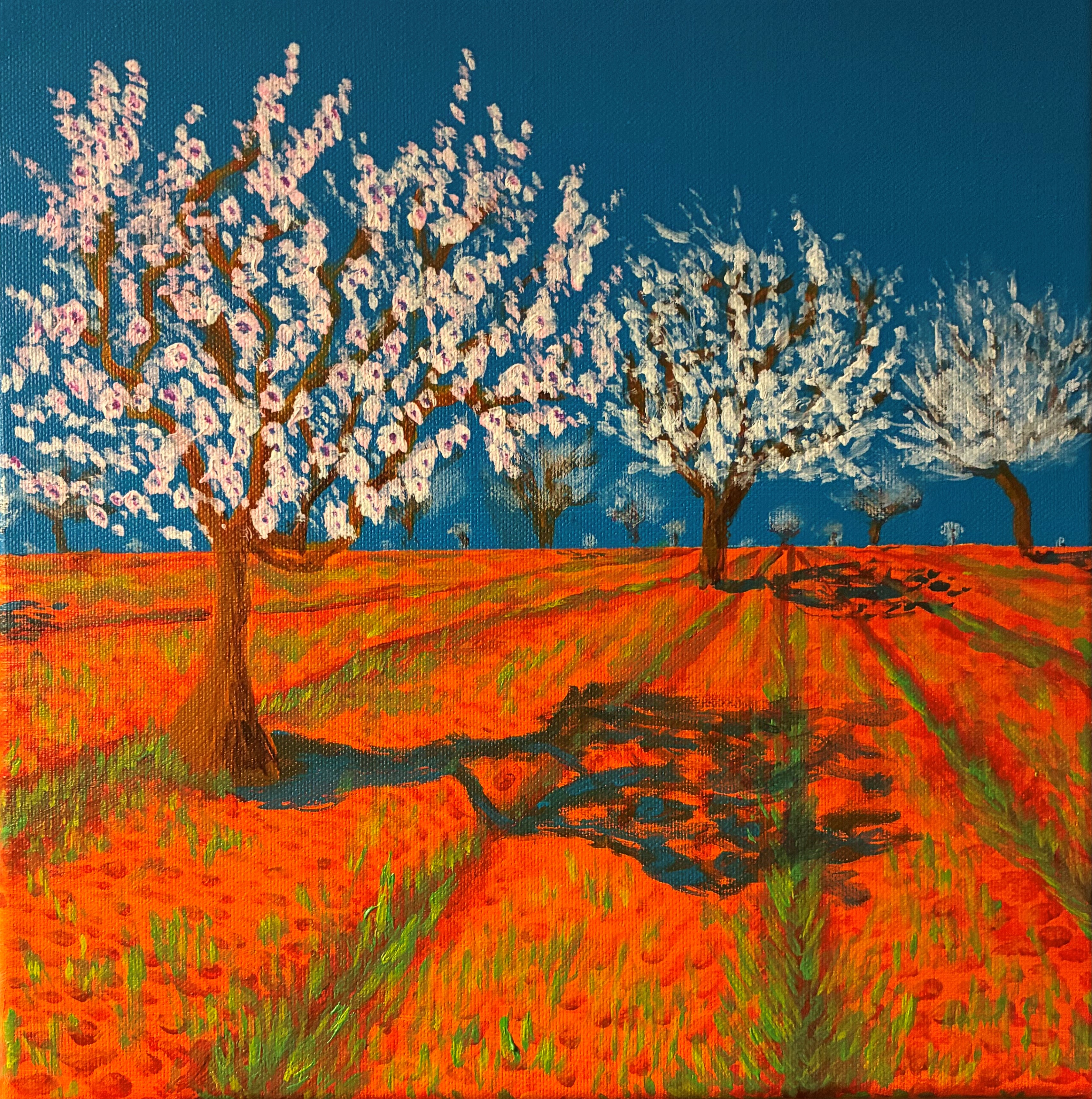 A contemporary painting of almond trees in bloom, with white blossom, set against a bright blue sky and bright orange soil with furrows leading away from the viewer.